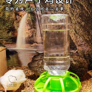 芦丁鸡喝水器水壶陶瓷小鸡圆形喂食器饮水器食碗围栏鹌鹑自动用品