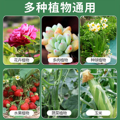 现货速发植物活力素浓缩营养液促生长促花养花发财树蔬菜绿植通用