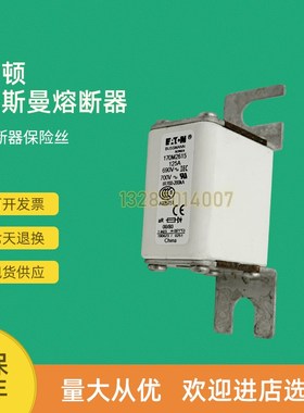 全新快速熔断器保险170M2069 170M2070 170M2071 170M2072