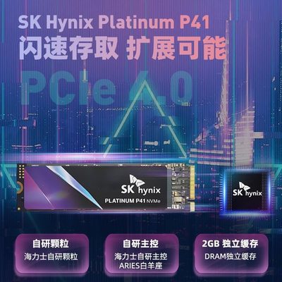 Platinum海力士固态硬碟P41原厂2T NVME桌上型电脑 笔记本M.2 PC.