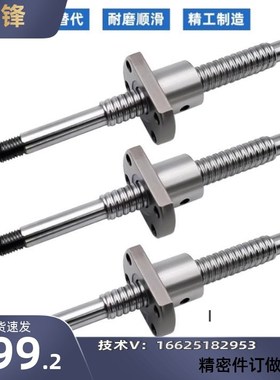 替换怡合达滚珠丝杆LCS29 LCS07 LCS02 LCS47 LCS49 5 10 20丝杠