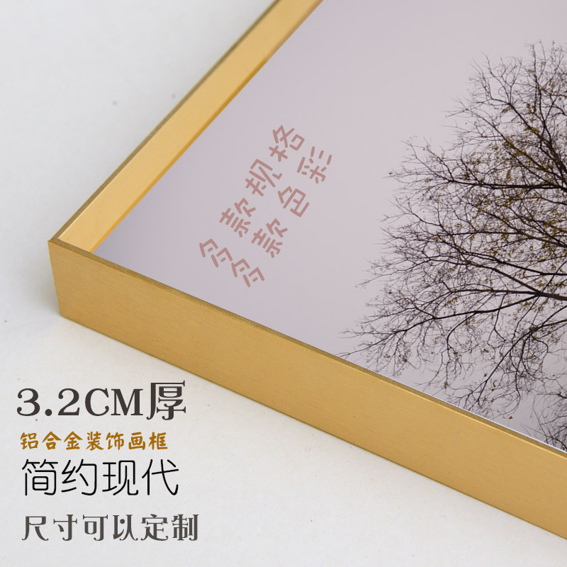 速发铝合金拉丝现代简单有机玻璃卡纸相框画框玫瑰金木纹装裱挂墙