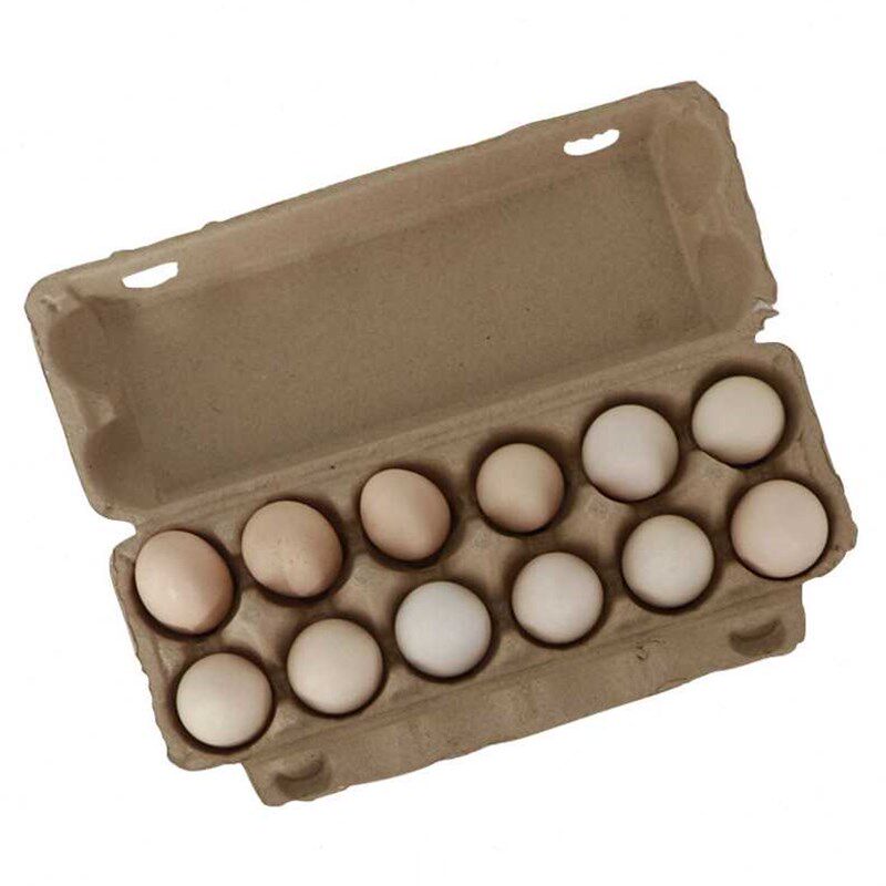金诗洛k571550个纸浆蛋托环保降解鸡蛋包装盒防震防摔蛋托黄纸