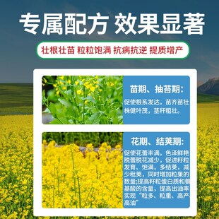 诚施富油菜专用爆满枝烯磷酸钾促授粉籽粒饱满丰高产抗病逆控通肥