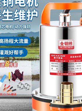 直流潜水泵12v48v60小型抽水泵农用灌溉家用电动电动车无刷抽现货
