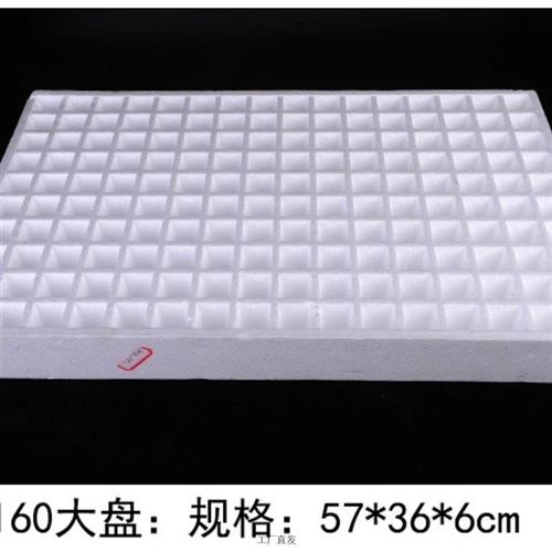 小众高货泡沫育苗盘穴盘蔬菜秧盘水培盘育苗盘白色泡沫盘辣椒苗盘