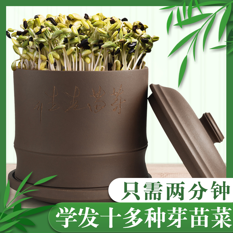 紫砂家用豆芽机豆芽罐桶发t豆芽神器豆芽菜花生芽发芽盆豆芽培育