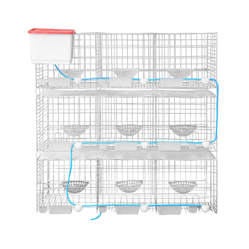 加粗鸽子笼家用配对繁殖养殖笼子白鸽信鸽大号鸟笼子鸽舍鸽棚组合