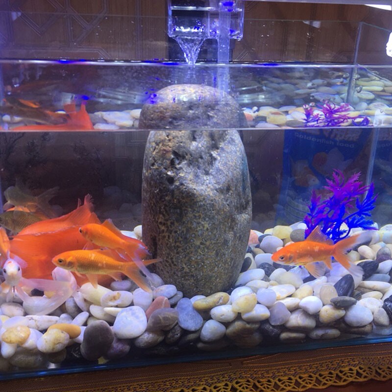 现货睡莲水培石j头生态鱼缸装饰水族箱造景铺底多肉花盆铺路雨花