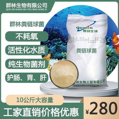 群林乳酸菌粪链改菌水产养殖活物饲料添加剂微生水球善肠工厂直销