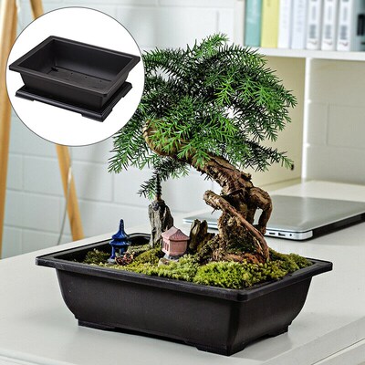 Flower-Pot Bonsai Saucer Nursery-Planter Farmers Rectangle M