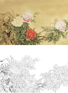 工笔画白描底稿牡丹楚彦春复古风花鸟勾线实物打印稿尺寸可选CY14