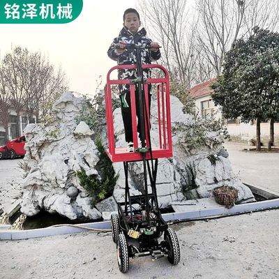 电动养殖观察车 移动式升降平台登高畜牧养殖 巡防观察车