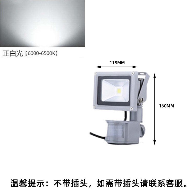 2V06雷达人体感应射灯led户外家用庭院照明N超亮监控防水投光灯22