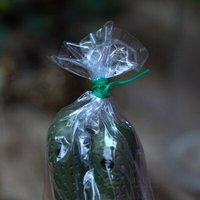 Gardening wire binding rope climbing vine flower thread with