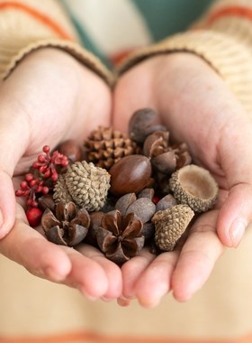 阿楹 可爱干花漂流瓶儿童房装饰摆件玄关办公桌斗柜台面女孩礼物