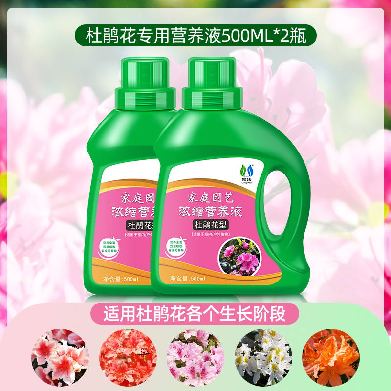 杜鹃花专用肥营养液花肥料家用盆栽花卉通K用型养花酸性植物叶面 鲜花速递/花卉仿真/绿植园艺 家庭园艺肥料 原图主图