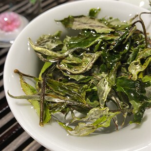 2023班盆大树白茶100克价格猛烈生津 回甘持久 茶气强烈兰花野韵