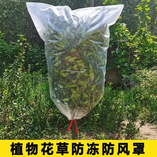 植物保温袋塑料薄膜果树苗木防寒冬天防冻套袋室外花卉保暖保护罩