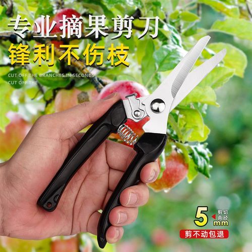 不锈钢家用园艺修枝剪修剪树枝果树盆景造型水果专用工具花艺剪刀