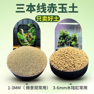 苔藓景观材料微景观diy材料包创意生态瓶制作材料水陆缸造景材料