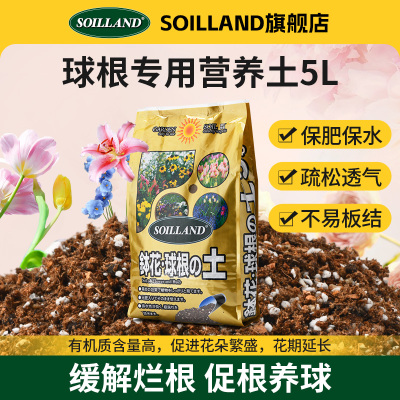 SOILLAND大柿园艺钵花球根植物专用营养M土盆栽用土红洋水仙种球