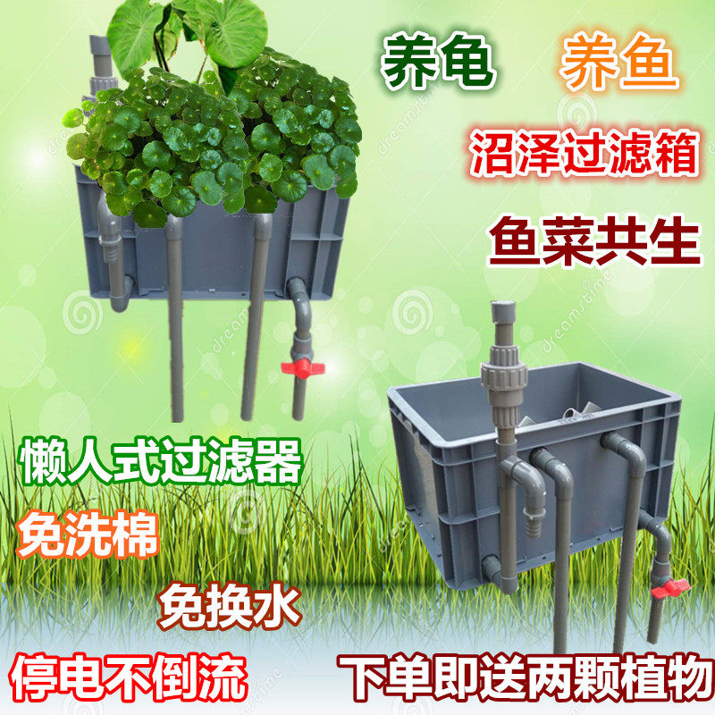 速发龟缸龟箱diy池自制鱼缸鱼池沼泽过滤周转箱过滤箱鱼菜共生过