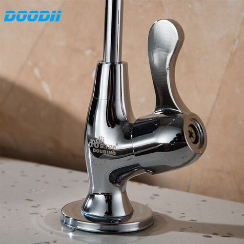 DooDii 1/4
