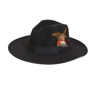 推荐Autumn and winter trendsetter hat new top hat feather wo