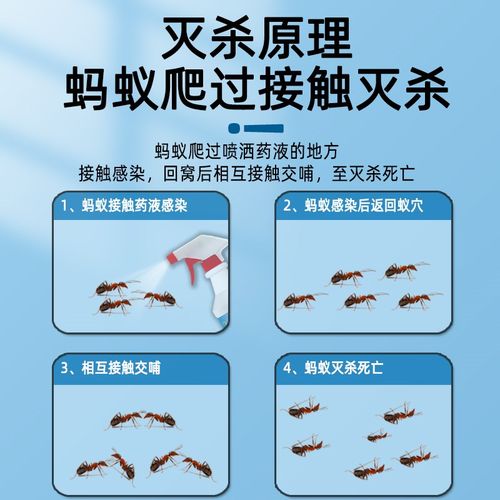 蚂蚁药家用一窝端非无毒除红黑黄蚂蚁专用药菜地强效灭蚁清杀虫剂