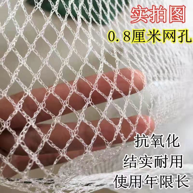 速发加厚无结网防鸟网围栏网家里禽养殖网渔网网箱