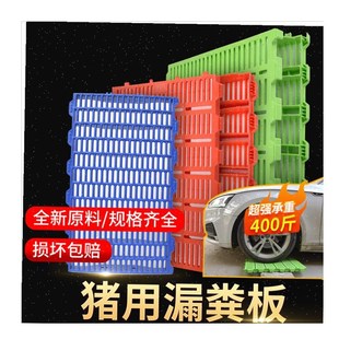 ,仔猪漏粪板e猪用床板塑料小猪保育床底板母猪产床配件畜牧养殖设