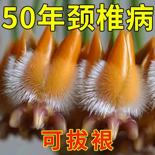工厂销【万人推荐】颈椎贴膏x特效脖子僵硬压迫神经头晕手麻颈椎