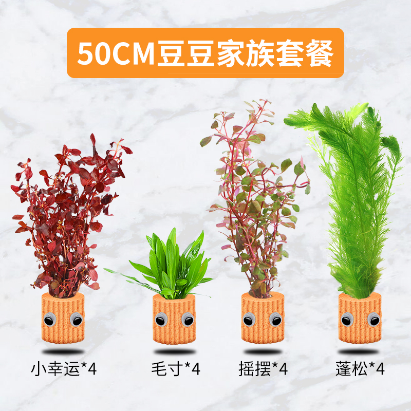 新品鱼缸水草植物热带鱼缸观赏乌龟造景植物孔雀鱼专用水草缸生态