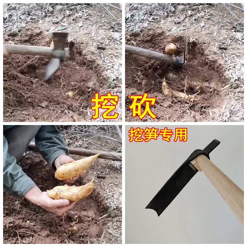 挖冬笋锄头锄斧竹笋洋镐挖地农用小工具探测仪两用挖笋铲专用神器