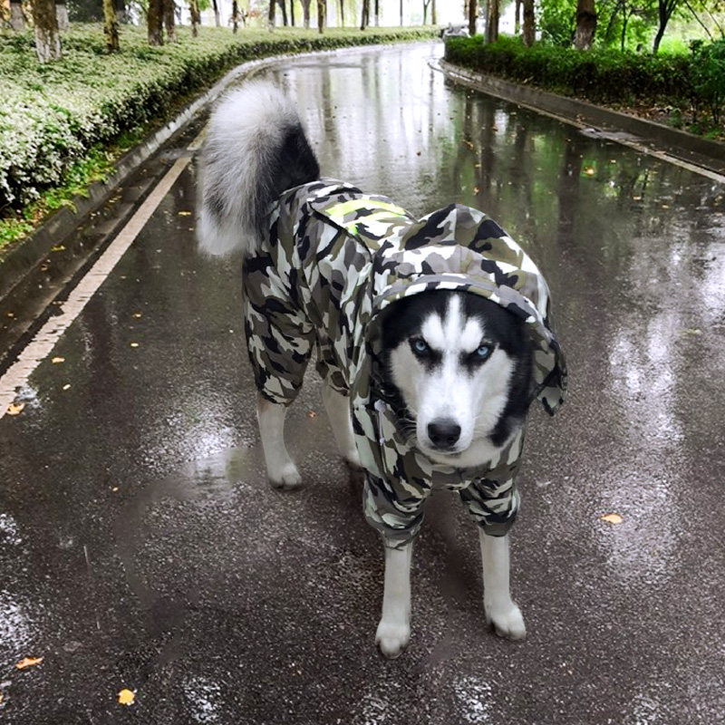 狗狗雨衣脚四防水全包哈士奇中型大型犬宠布拉多二哈迷彩拉物衣服