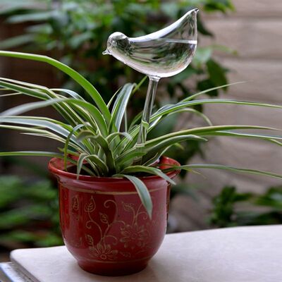 Bird Designs Glass Plant Flowers Water Feeder Self Watering