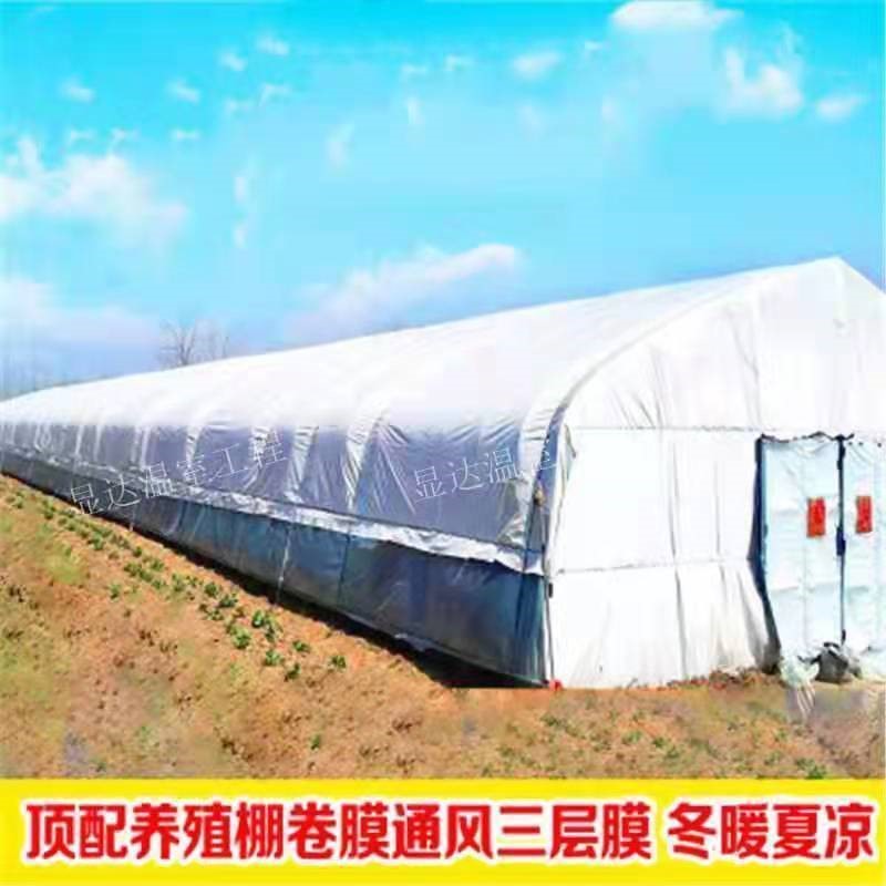 养殖大羊大架骨棚全套保温养鸡棚鸭鹅猪舍棚圈牛棚专用温室大棚