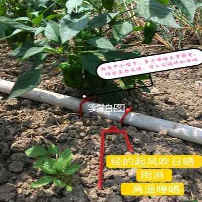 新款厂促滴灌叉地膜钉滴管l固定器微喷固定地布钉U地钉草莓叉压品