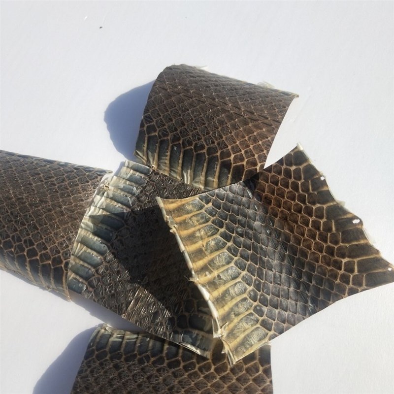 乐器配件 单块h乌稍皮 越胡皮 京胡西皮二黄 京二胡曲胡蒙皮乐器