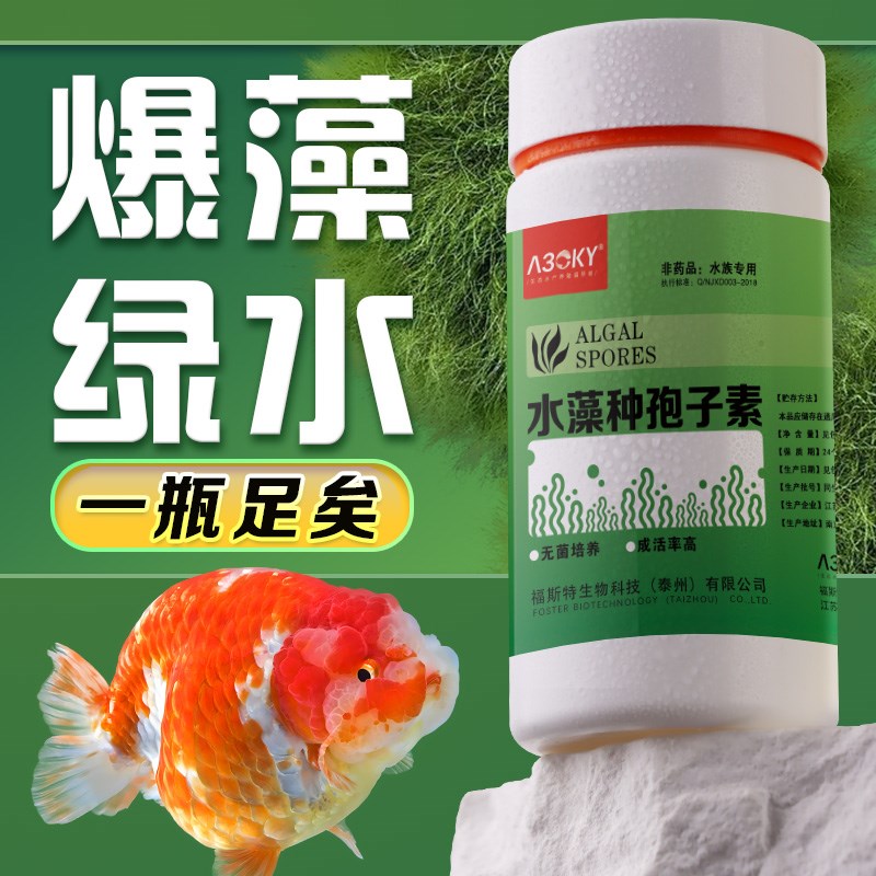 长绒藻绿苔水藻短绒藻孢子绿藻藻种鱼缸爆藻水草植物造景藻石暴藻