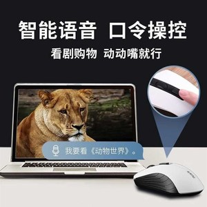 现货科大讯飞(iFLYTEK)智能鼠标M210语音鼠标无线办公充电鼠标