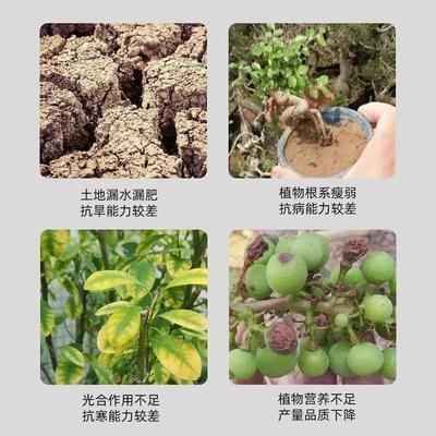 土壤活化宝活化剂矿源黄腐酸钾疏松土壤防止板结促生根植物花肥料