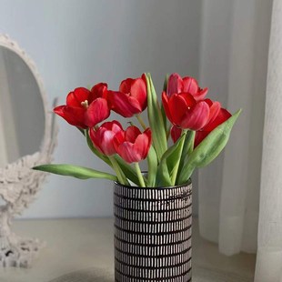 新鲜郁金香鲜花橙色求婚生日情人节紫色婚礼白色云南鲜花基地直发