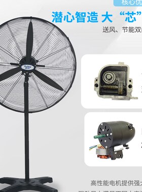 德通普风系列650MM750MM强力工业挂墙壁扇落地风扇DF650-TDF750-T