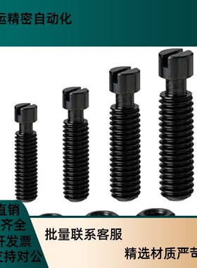 FFH01碳钢粗牙螺纹拉伸弹簧用支柱BSPOZ1C0/12-30/35/40/45/50/55