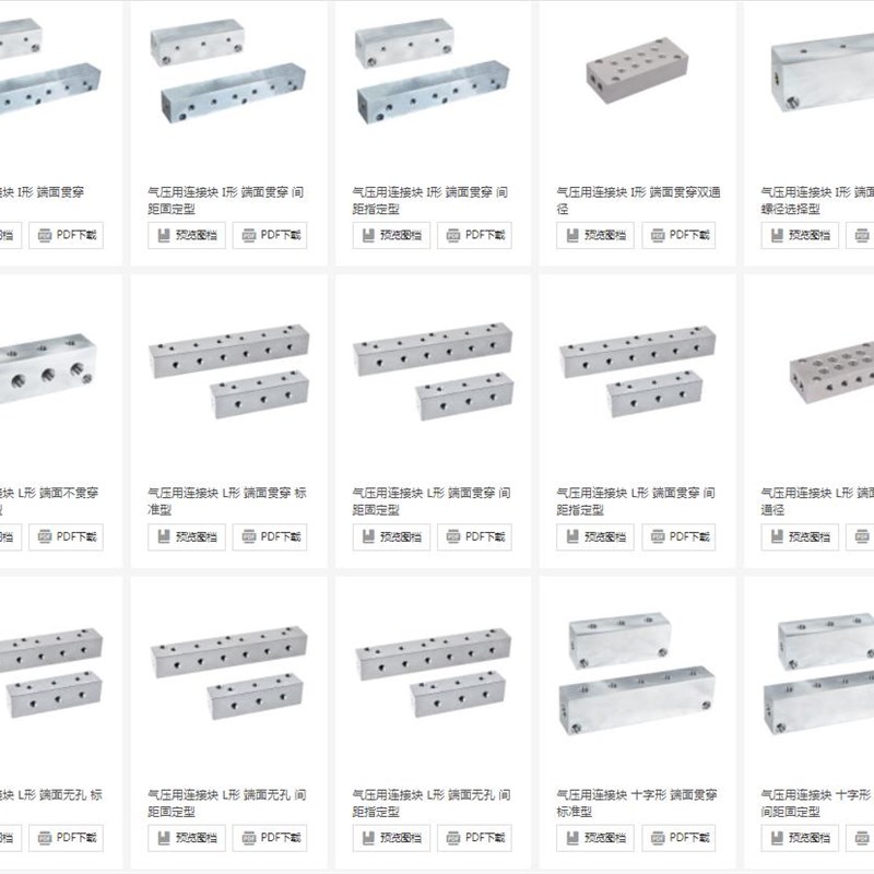 歧管块G-BMSFCP G-BMSFL G-BMSFLA G-BMSFLAP G-BMSFLP