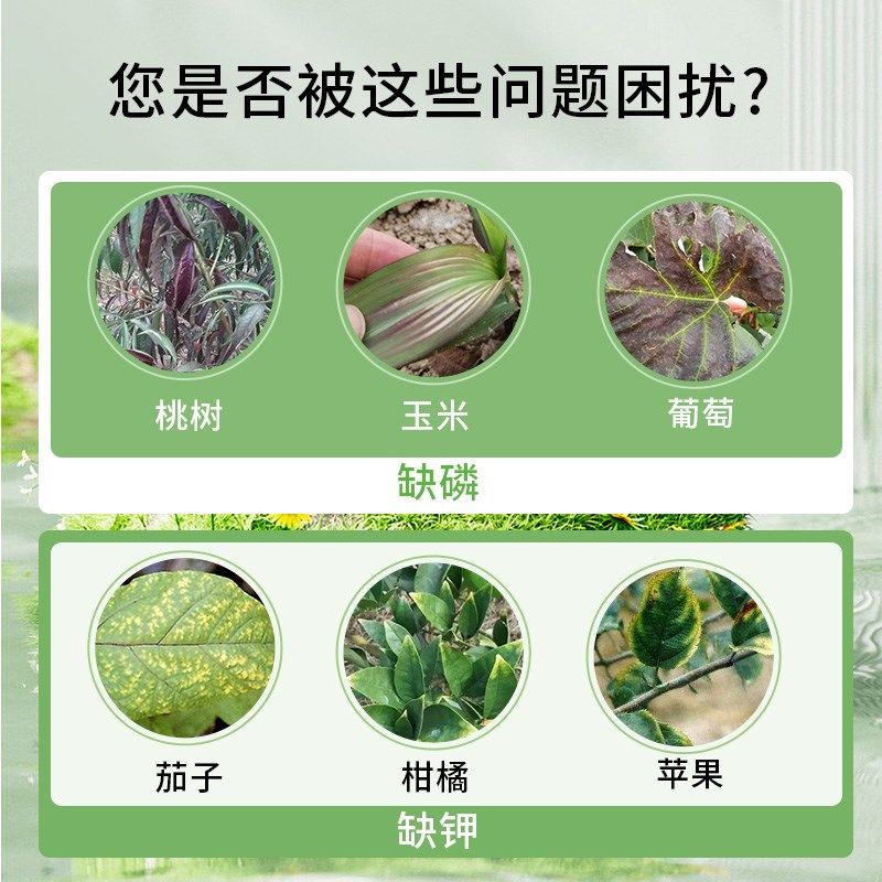 银海磷酸二氢钾5千克桶装磷钾肥蔬菜果树叶面肥银海化工,农用物资,叶面肥,淘宝优惠券,粉丝福利购,淘宝优惠卷