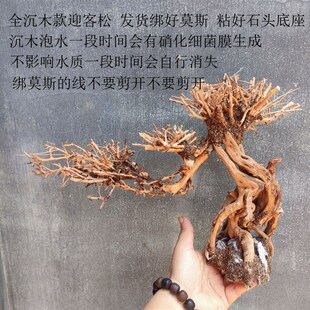 成品莫斯树 水草树 沉木莫斯树 鱼缸造景水草 水族箱造景