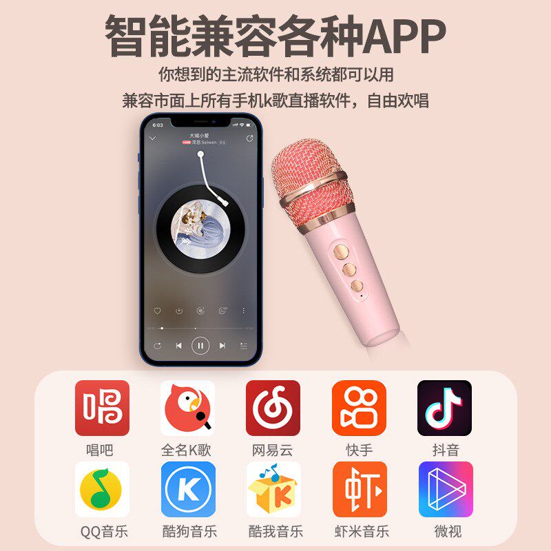 蓝牙音响迷你无线家用唱K歌一体麦A克风双话筒音箱家庭话筒KTV套